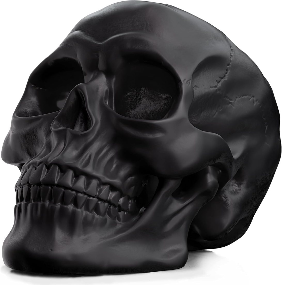Readaeer Matte Black Resin Skull