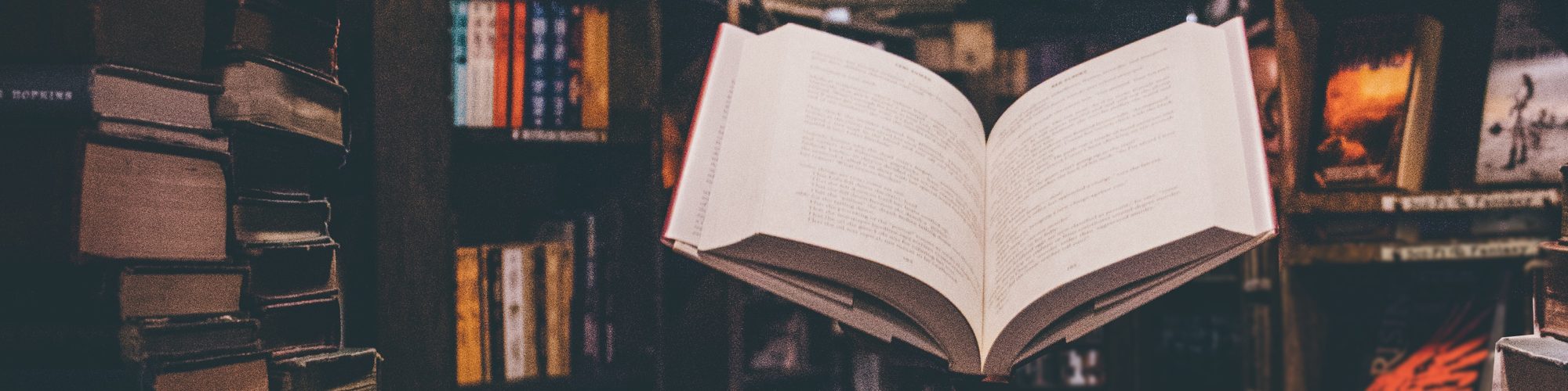 Book Stands & Holders by Readaeer